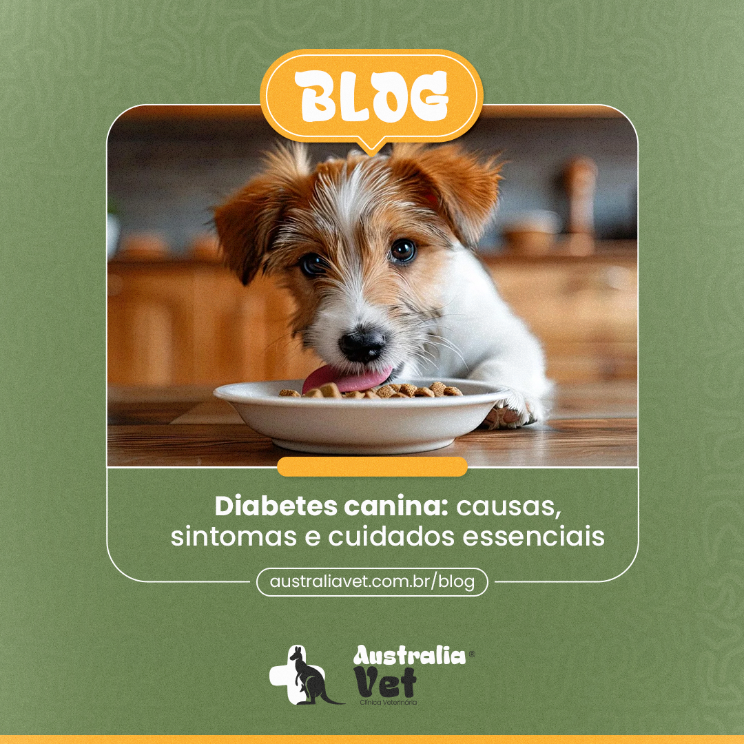 Diabetes canina: causas, sintomas e cuidados essenciais